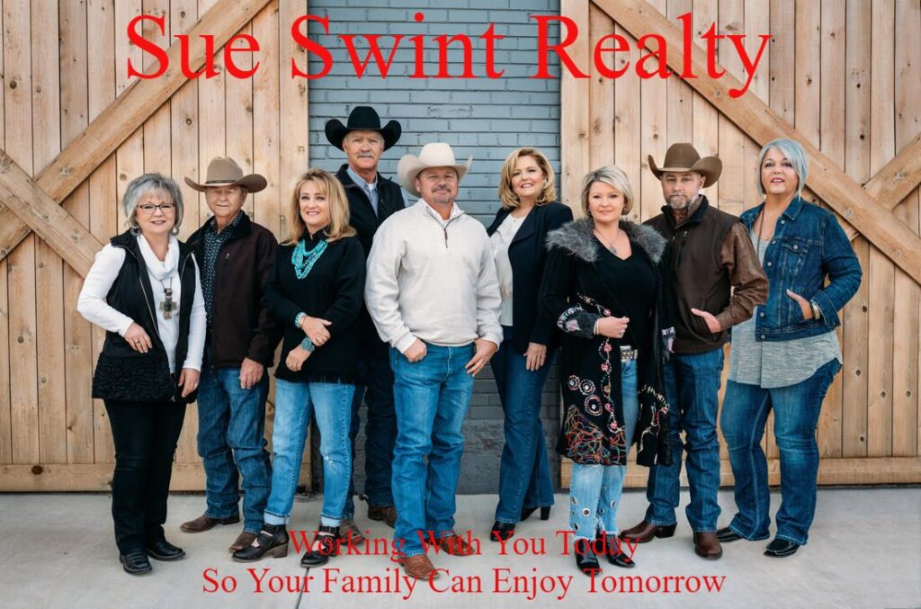 The Sue Swint Realty Team
